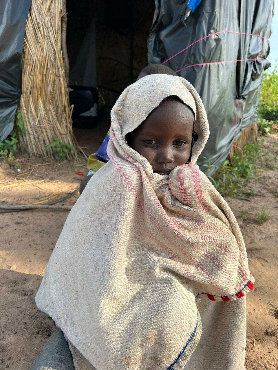 photo_5877283490830073934_y