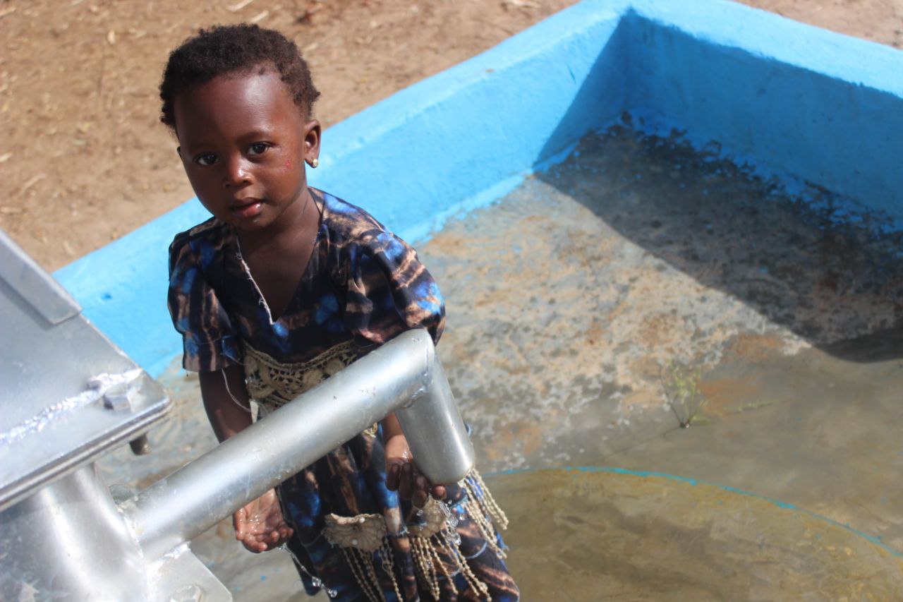 photo_5978774156445072735_y